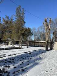 ������ �������� � ���������. � ��������� ���� 1