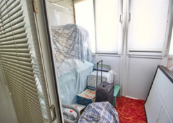 ���� ������������� ��������. �������������. ���. ��������