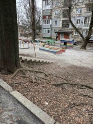 �������� ������ 1 ������� �������� ���� 1