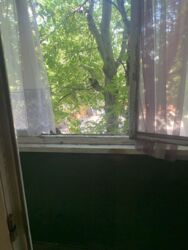 Продається 3-х кімнатна квартира( центр) у м. Кропивницький. фото 8 Продається 3-х кімнатна квартира( центр) у м. Кропивницький. фото 8