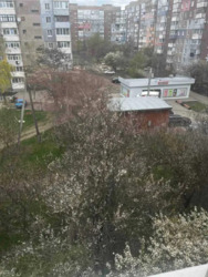 ��������� �� ������ �������� 3-������� �������� � �������������� ���� 15