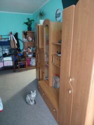 Продаємо 1 кімнатну квартиру. фото 4 Продаємо 1 кімнатну квартиру. фото 4