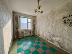 ������ 2� �� ���� 12 8/10 ���� ���� 5