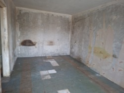 ������ 2� �� ������������-3 ���� 5