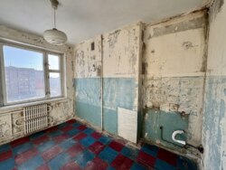 ������ 2� �� ���� 12 8/10 ���� ���� 13