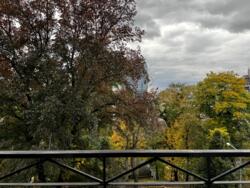 ��������� �������� ����������� ����� ���., 5, ���, ���������� ���� 4