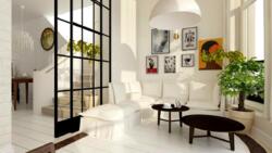 ��������� �������� ���, �����������, ���������� ����������, 3, �. ������� ���� 19