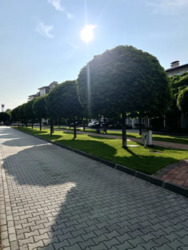 Продається квартира Обухівський, Київська фото 18 Продається квартира Обухівський, Київська фото 18