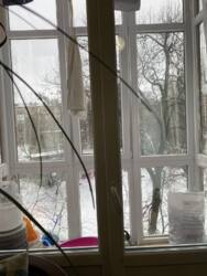 Продам 3х. кімнатну квартиру (Сталінка) в Центрі. фото 8 Продам 3х. кімнатну квартиру (Сталінка) в Центрі. фото 8