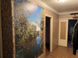 Продається 2х кімнатна квартира с. Шестаковка фото 4 Продається 2х кімнатна квартира с. Шестаковка фото 4