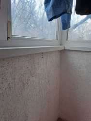 ��������� �������� ������������� , ʳ������������, ������� ���� 18