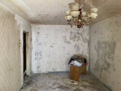 Продається 2х кімнатна квартира,( можливе використання під бізнес). фото 3 Продається 2х кімнатна квартира,( можливе використання під бізнес). фото 3