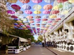 Продається 2-кімнатна квартира в центрі Кропивницького (вул. Віктора Чміленка) фото 13 Продається 2-кімнатна квартира в центрі Кропивницького (вул. Віктора Чміленка) фото 13