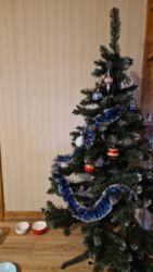 Продається гарна 4х кімнатна квартира в Центрі. фото 2 Продається гарна 4х кімнатна квартира в Центрі. фото 2