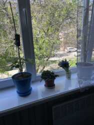 Продам 2-х. кім. квартиру на Новомиколаївці фото 6 Продам 2-х. кім. квартиру на Новомиколаївці фото 6