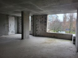 ������ ���������� ���� 12