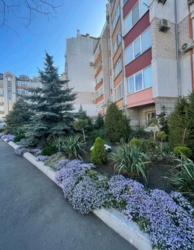 1 комнатная квартира ЖК АББО фото 9 1 комнатная квартира ЖК АББО фото 9