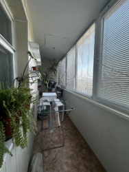 4 ��������� �������� ��� ������� ����� ���� 22