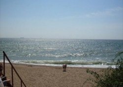 Сучасна квартира в ЖК Моноліт фото 5 Сучасна квартира в ЖК Моноліт фото 5