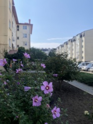 1кімнатна в новобудові з індивідуальним опаленням! фото 2 1кімнатна в новобудові з індивідуальним опаленням! фото 2