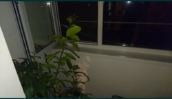 Продається квартира Одеська, Чорноморськ, Великодолинське фото 2 Продається квартира Одеська, Чорноморськ, Великодолинське фото 2