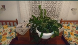 Продається квартира Одеська, Чорноморськ, Великодолинське фото 10 Продається квартира Одеська, Чорноморськ, Великодолинське фото 10