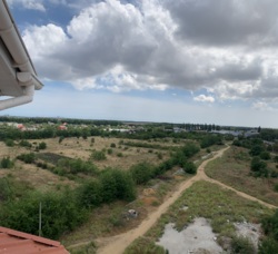 ������ 1-������� �������� � ����������������� �� '���������' ���� 12