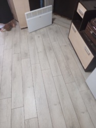 ������ ����� �������� (������) ���� 6