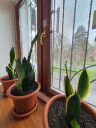 Вперше у продажу эксклюзивна квартира фото 33 Вперше у продажу эксклюзивна квартира фото 33