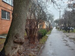 ��������� �������� ³�������, ³�����, ����������, ����������� ���� 9