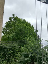   ³, ³, ,  (), 21  17