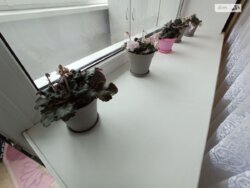 Продається квартира Вінницька, Вінниця, Ленінський, Вишенька, Келецька, 81 фото 11 Продається квартира Вінницька, Вінниця, Ленінський, Вишенька, Келецька, 81 фото 11