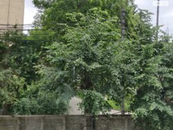   ³, ³, ,  (), 21  12