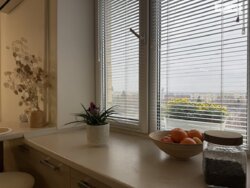 Прлдаю 2-к квартиру з індивідуальним газовим опаленням фото 12 Прлдаю 2-к квартиру з індивідуальним газовим опаленням фото 12