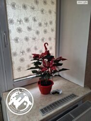 ������ 1-������� �������� � �� ���������� ���� 7