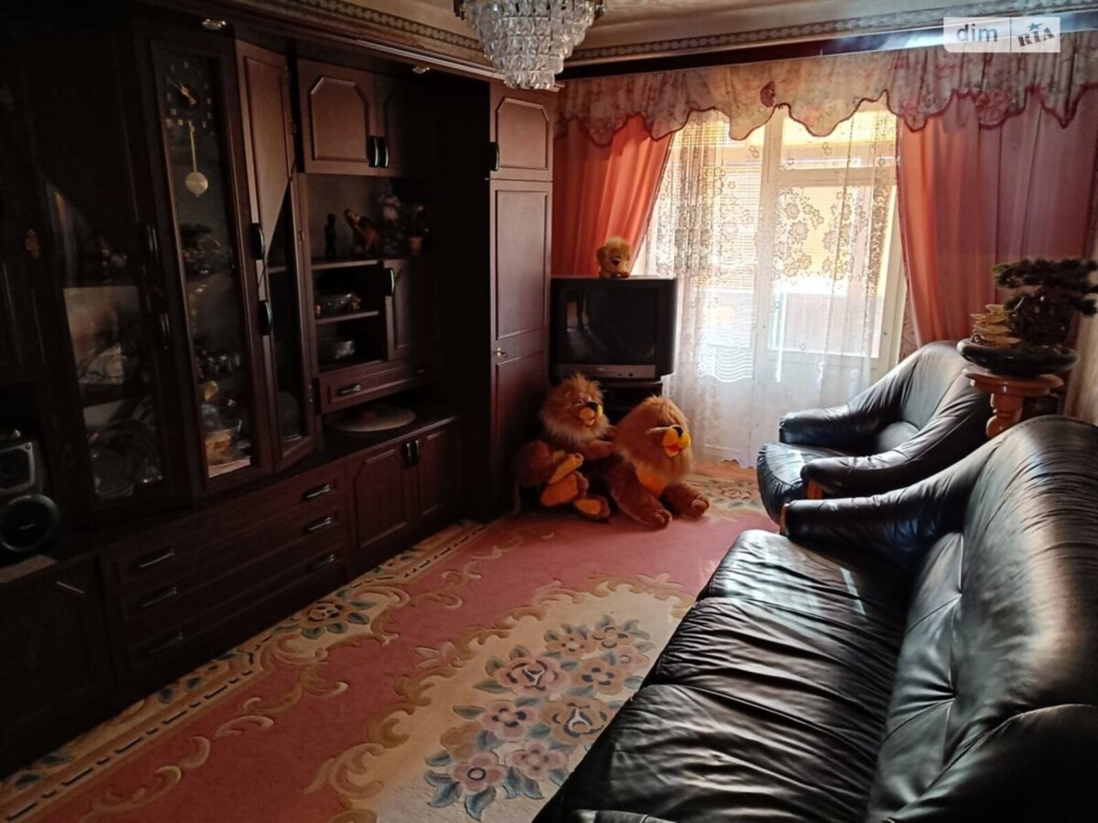 ��������� �������� ���, �������������, ���� ����� �����. (������ �������), 13 ���� 1