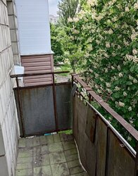1-,   ., 24,   13