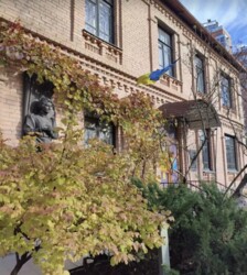 3-,   . (), 132,   13