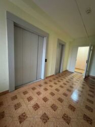 3 ������� ��������, �� �����, �����'������� ����� ���� 20