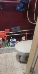 1  , .   ( ), 24,    5