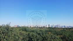         rystal Park  40