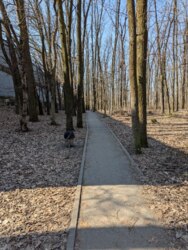 �� Echo Park, 2 ������� ��������, ������� ������, �. �������������� ��������� ���� 11