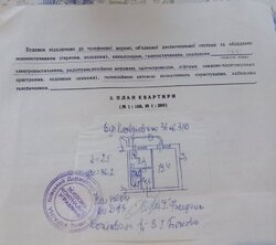 1  , , . 䳿,    13