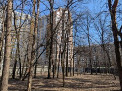 �� Echo Park, 2 ������� ��������, ������� ������, �. �������������� ��������� ���� 9