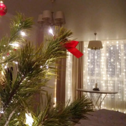 4-�������, ����������� ���., 42, ������������ ���� 7