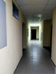 2-, 볿  . ( ), 34 ,   3