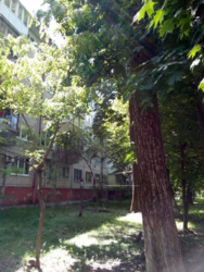 2-�������, �������� ������� ���., 20, ������������� ���� 4