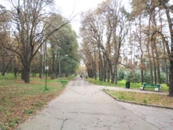         rystal Park  41