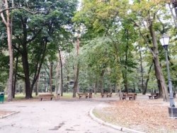         rystal Park  42