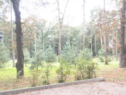         rystal Park  45